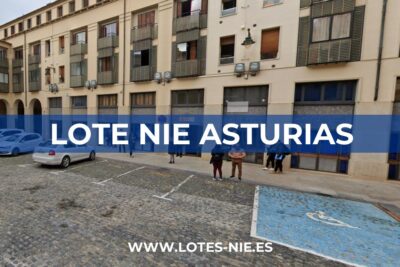 Lotes NIE Asturias