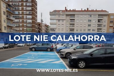 Lote NIE Calahorra en Calle de Longinos