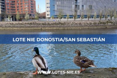 Lote NIE Donostia/San Sebastián | Urumea Pasealekua, 17