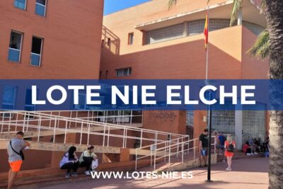 Lote NIE Elche en Calle el Abeto