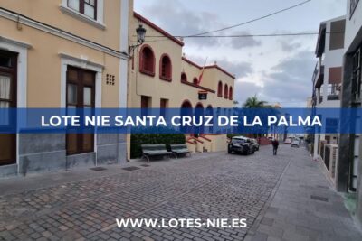 Lote NIE Santa Cruz de la Palma en Calle Pérez Galdós