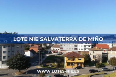 Lote NIE Salvaterra de Miño en Rua Matías Candeira