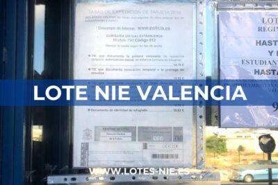 Lote NIE Valencia en Carrer dels Gremis